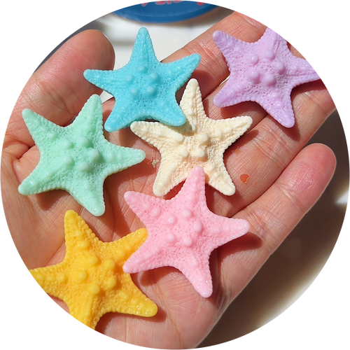 Sandy Starfish